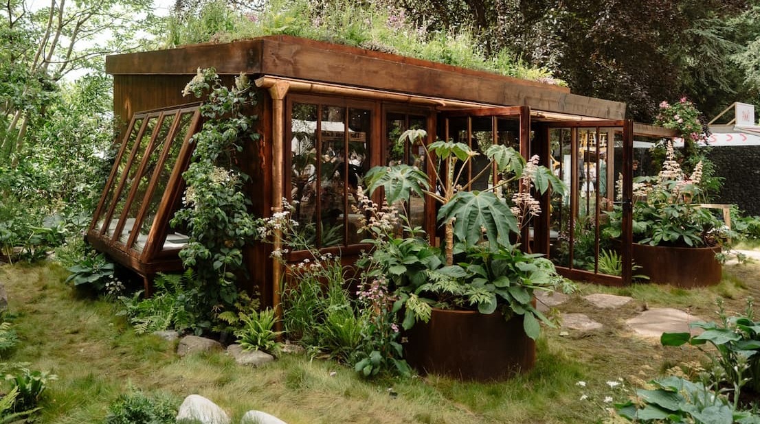 Wild mossy indoor plant display