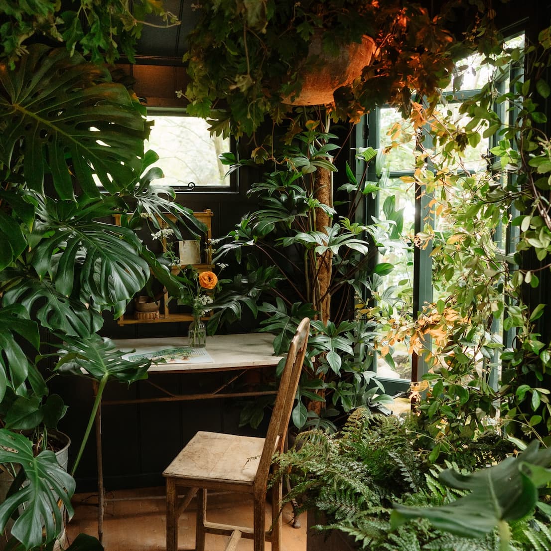 The Conservatory plant display detail