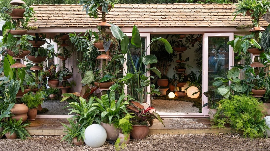 More RHS Chelsea Flower Show indoor plant trends