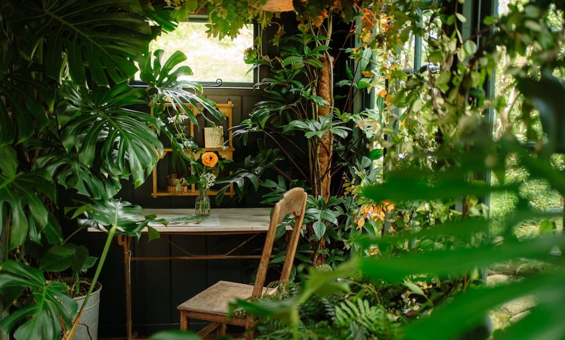 RHS Chelsea Flower Show indoor plant display