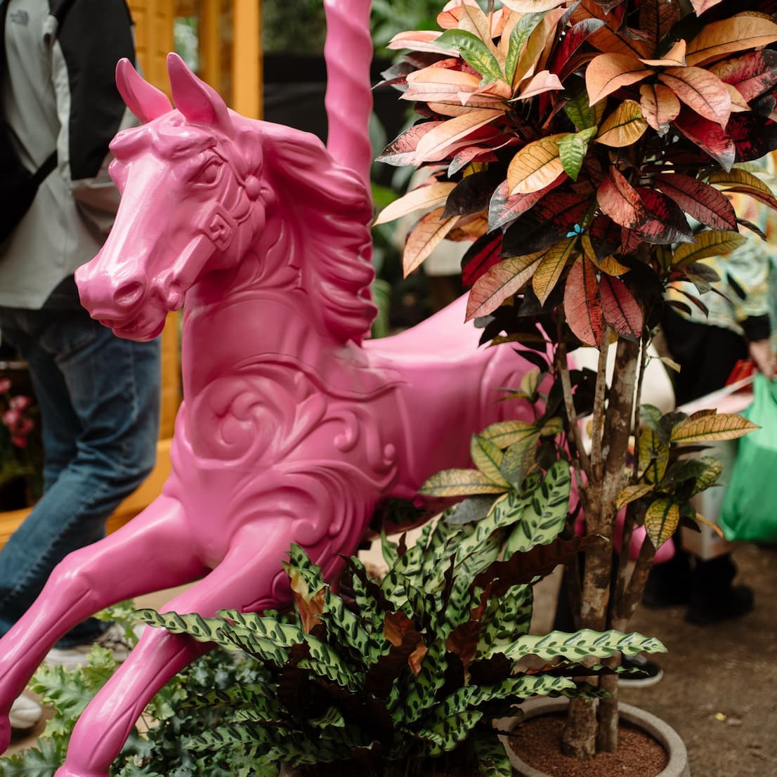 Heliotropic Carousel plant display detail