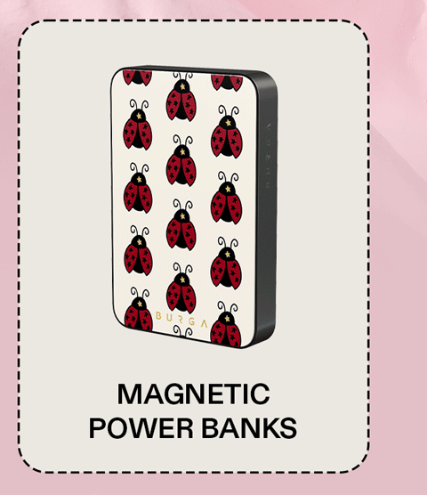 Magnetic power banks