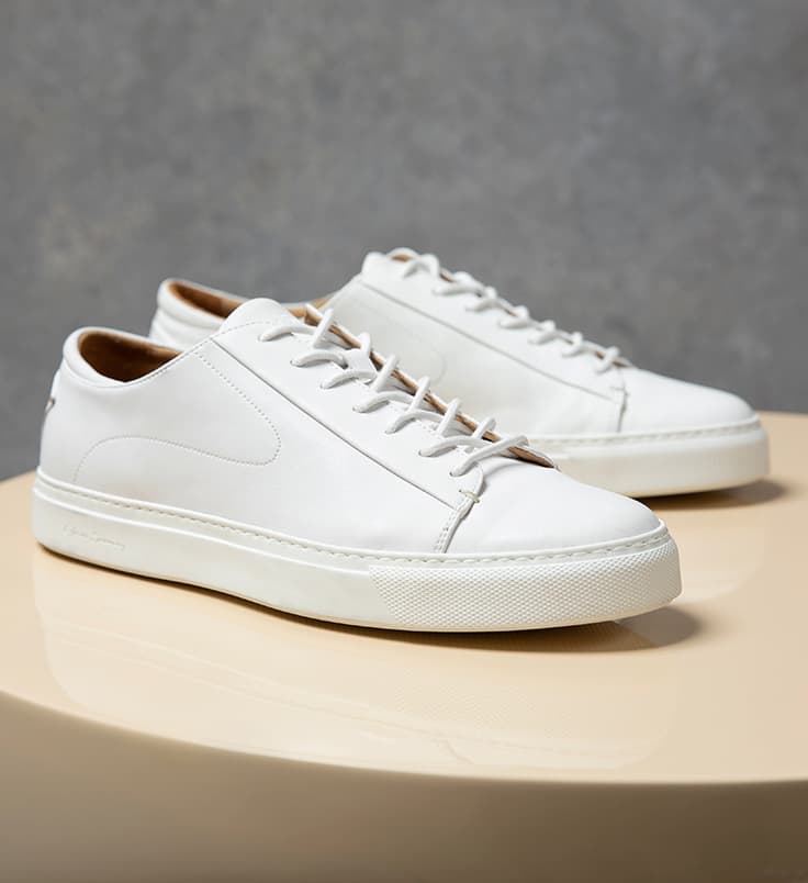 new arrivals for sprin 2026