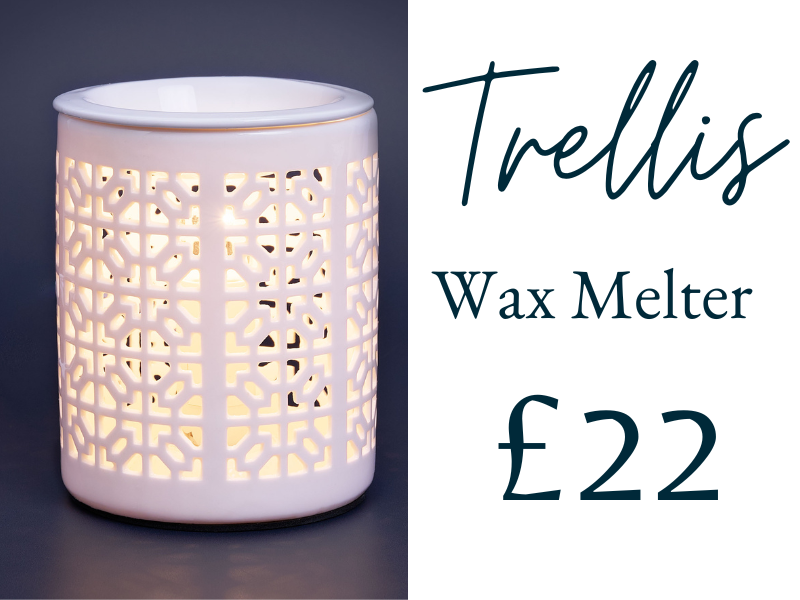 FREE Wax Melt Discs with ALL Electric Wax Melters! 😍 Ava May Aromas