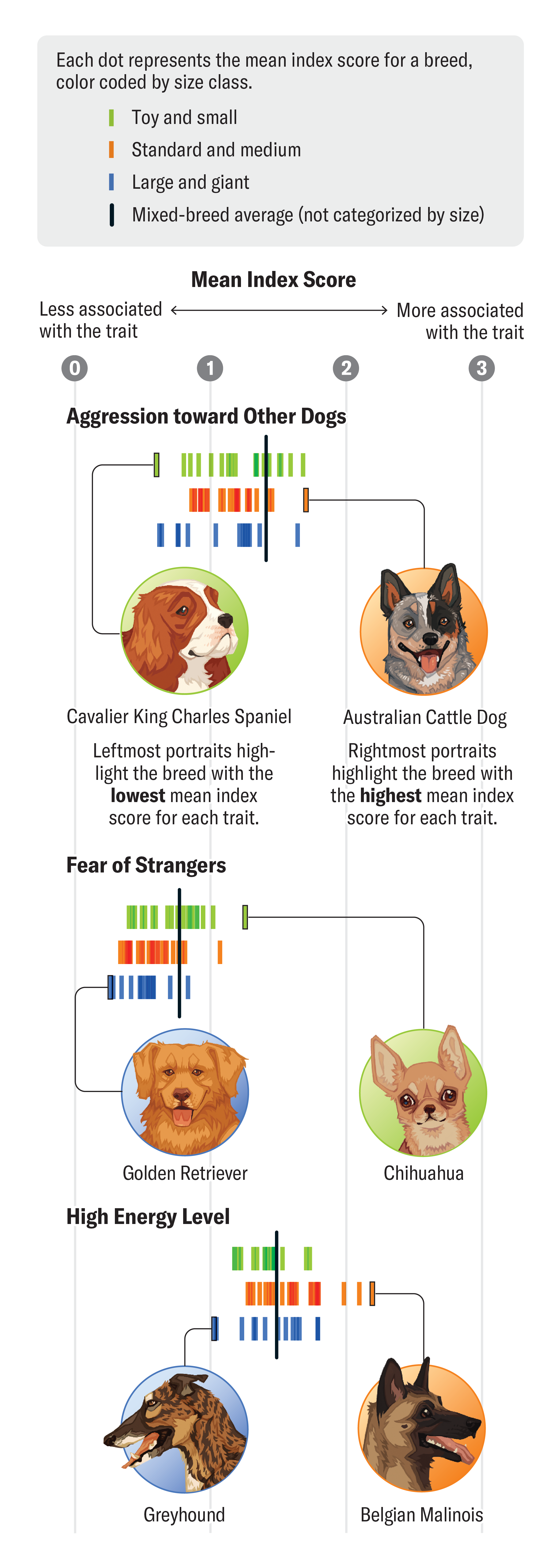 Graphic shows three charts representing data on specific traits associated with various dog breeds. The traits represented are aggression towards other dogs, fear of strangers and high energy level. The charts show dots representing the mean index score for each breed, color coded by size class.