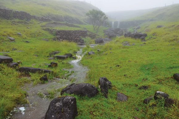 Misty green valley with a small stream winding past stone walls and scattered rocks.
