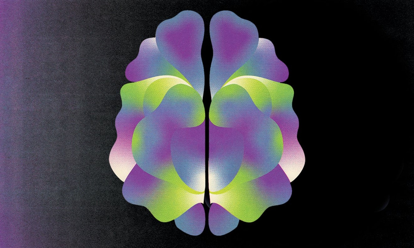 Brain illustration