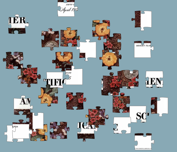 Puzzle pieces scrambled on a grey background, that when assembled depict the cover of Scientific American's May 1952 issue