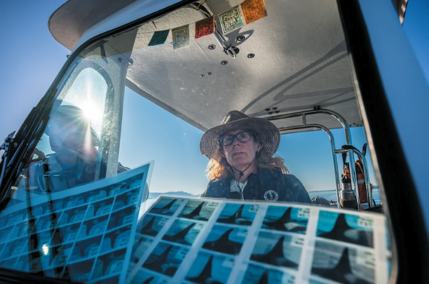 A woman wearing glasses and a straw hat at the helm of a boat looking ahead.