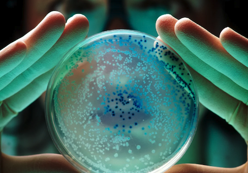 Two hands illuminated by green light holding a petri dish containing hundreds of blue dots