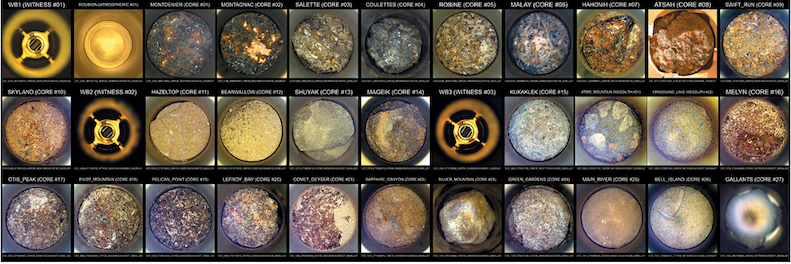 An annotated composite image of the interiors of the 33 tubes NASA's Perseverance Mars rover has used to collect samples