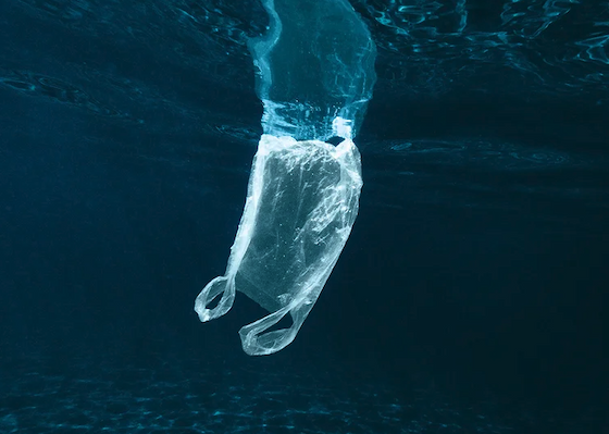 A plastic bag floats just under the surface of the ocean