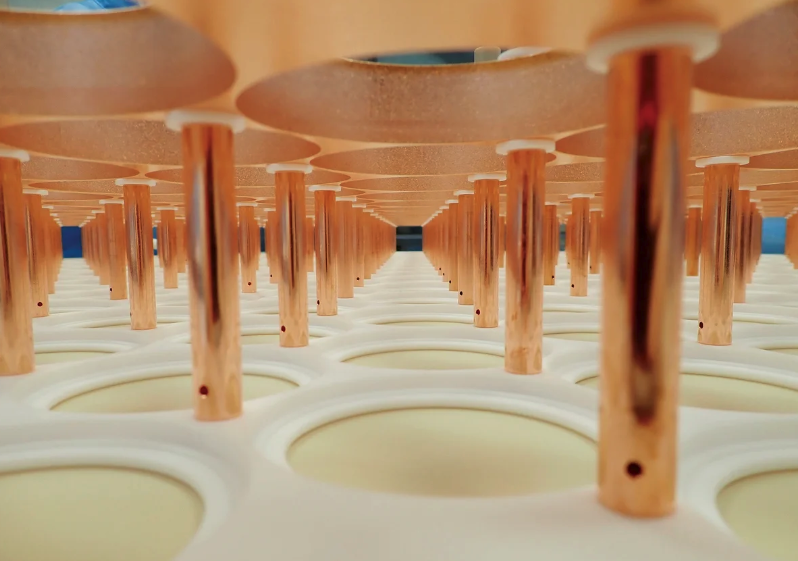 Interior of the XENONnT dark-matter detector, showing rows of copper rods suspended above circular sensor openings.
