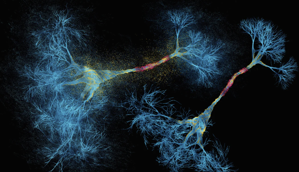 Colorful 3D render of a network of neurons.
