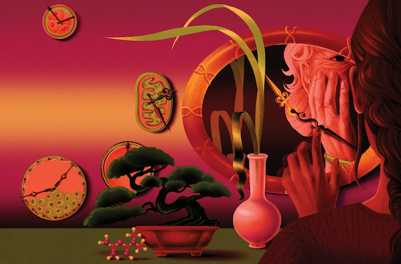 Abstract illustration in reds and oranges showing clocks, mirrors, molecules.