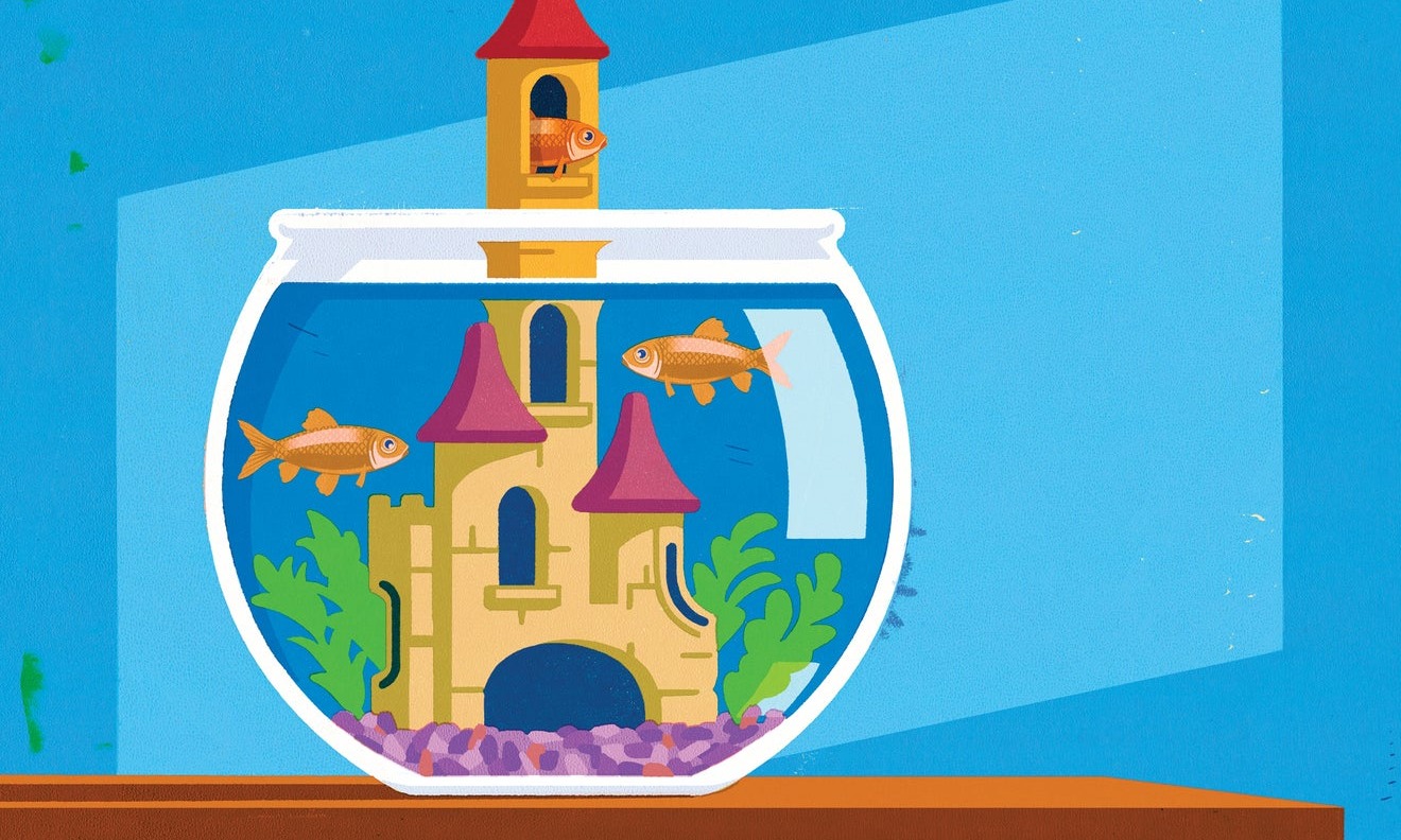 Illustration of three goldfish in bowl with castle