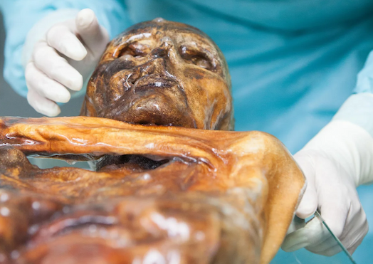 A mummified human body being examined by a researcher
