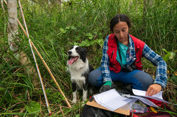A woman crouches over papers and research materials in a forest among grasses. A black and white dog sits next to her with its toungue out.