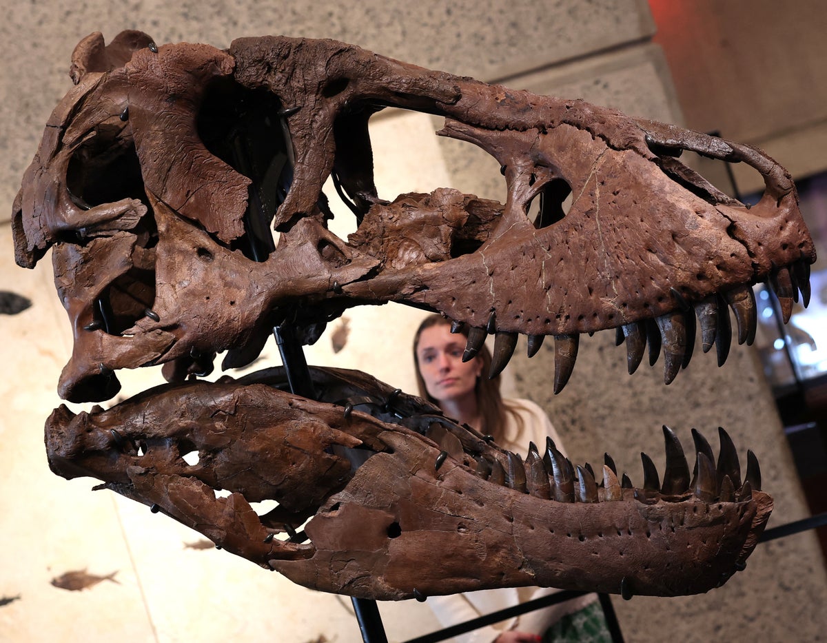 T-Rex