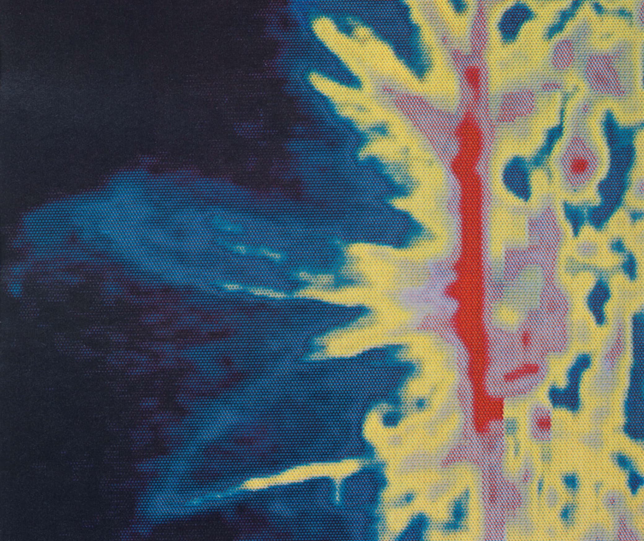 False-color image of solar loops on the Sun's western edge, captured by Skylab in 1975, showing radiation intensity in blue, yellow, magenta, and red.