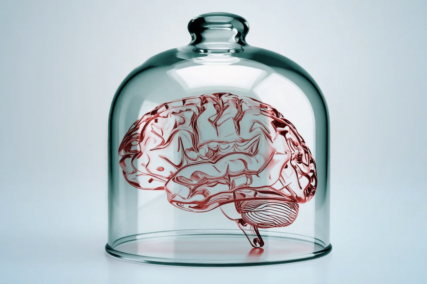 A conceptual image of a sketch of a brain under a glass cloche