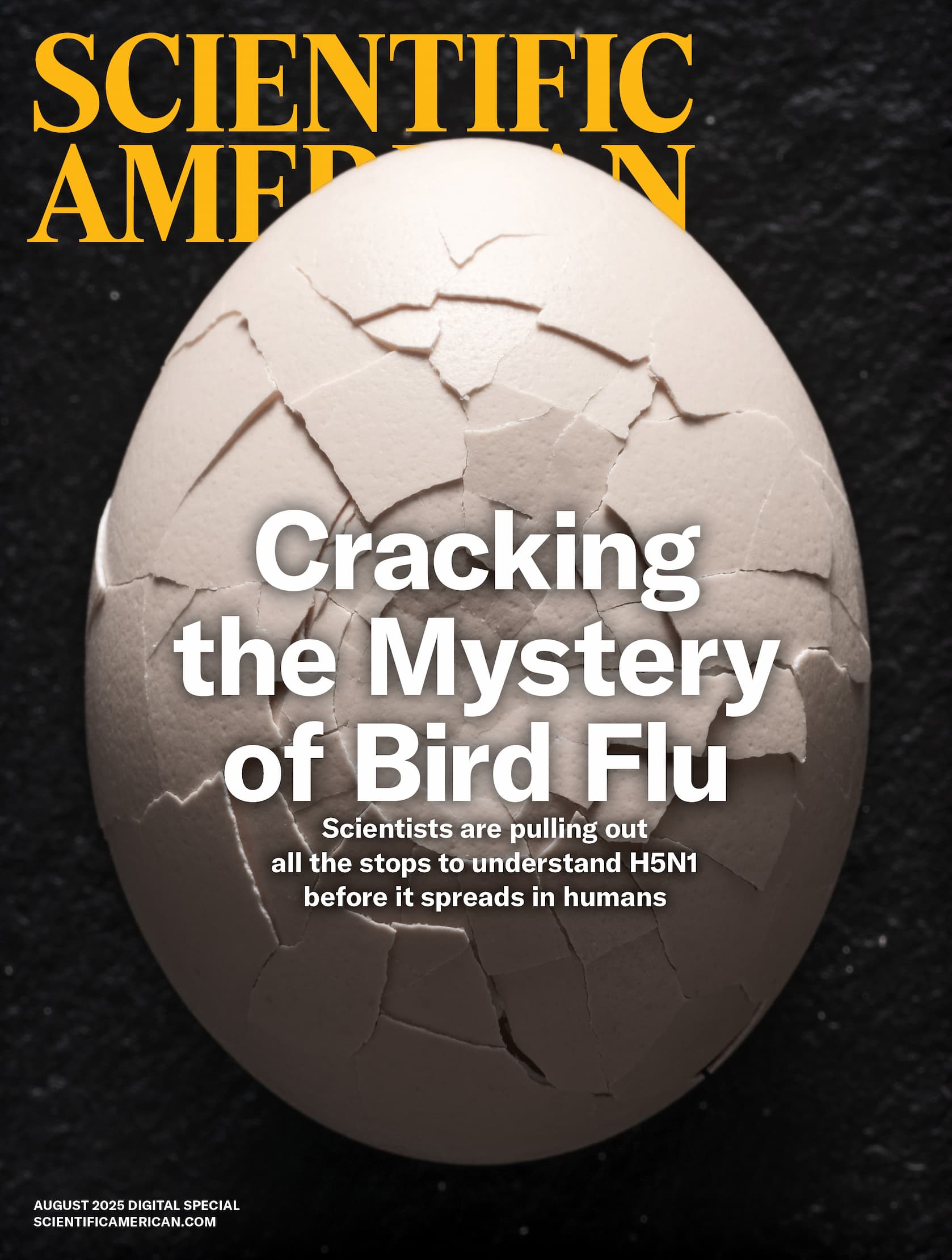 New Digital Issue