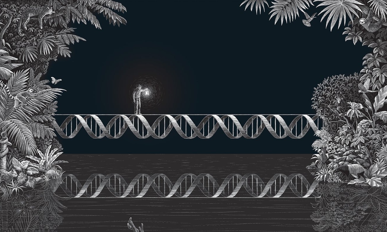 Illustration of a figure holding a lantern at night on a double helix bridge