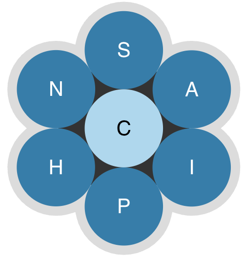 A blue word flower containing 7 letters: N, S, A, I, P, H and C in the center.