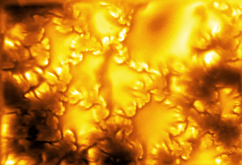 A GIF of vivid yellows and browns swirling on the surface of the sun