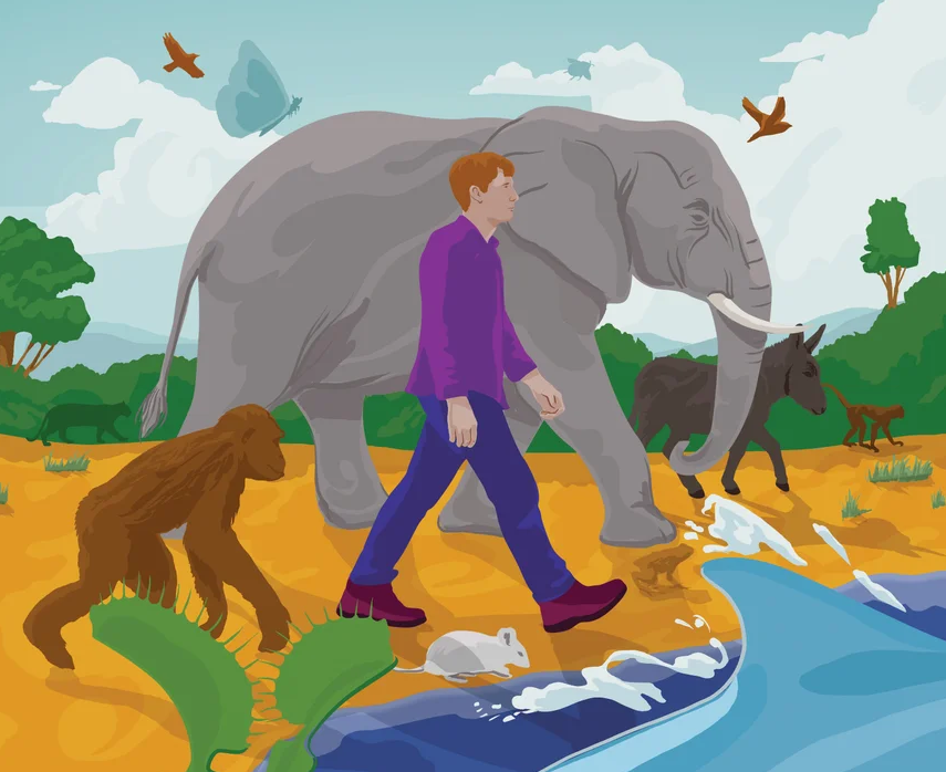 Illustration of a man walking next to an elephant, an ape and large rodent, while a shark swims by.
