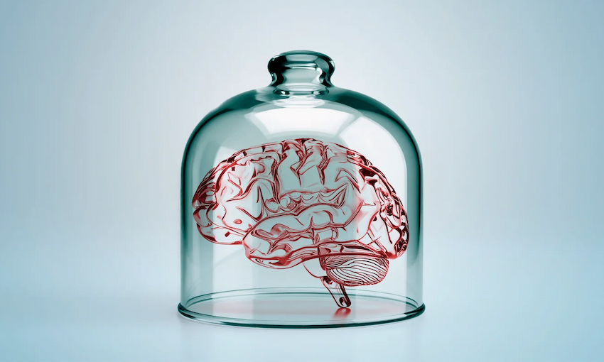 Brain in glass case