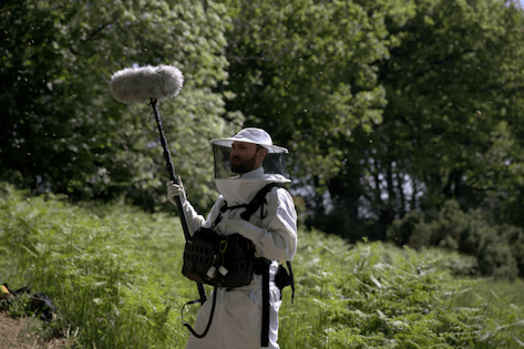 The Titan Arum flower standing tall in a jungle setting, and a person standing next to it, appearing much smaller.