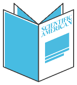 SciAm issue