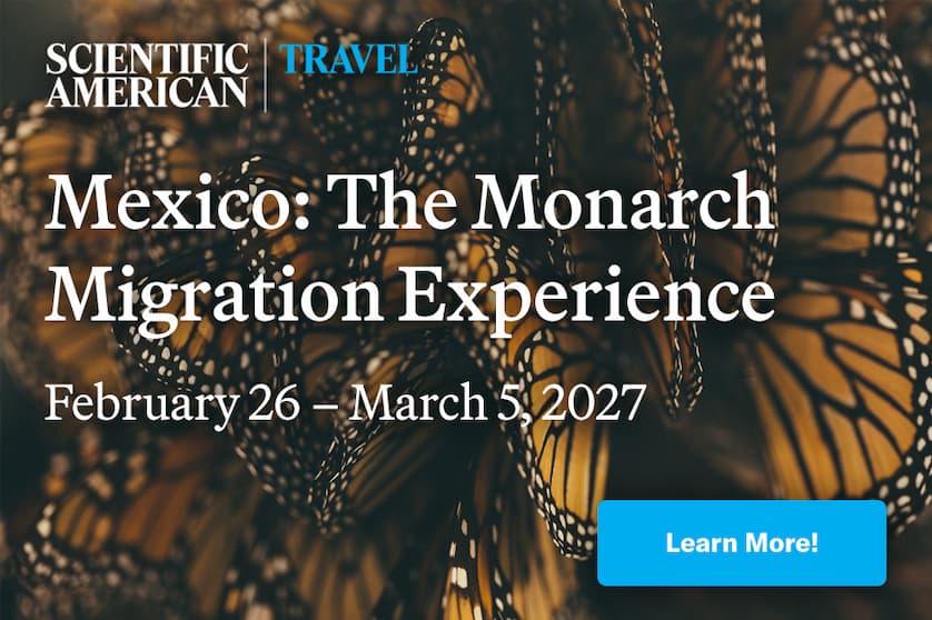 A promotional image showing close-up wings of monarch butterflies with the text: "Mexico: The Monarch Migration Experience. February 26-March 5, 2027."