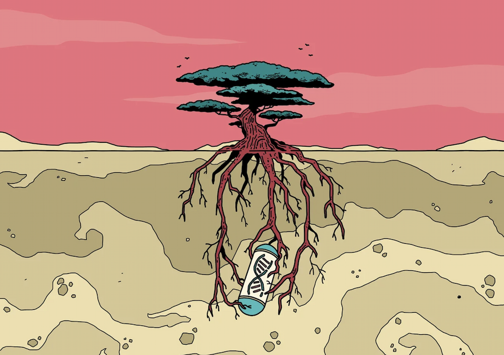 Time Capsule thumbnail