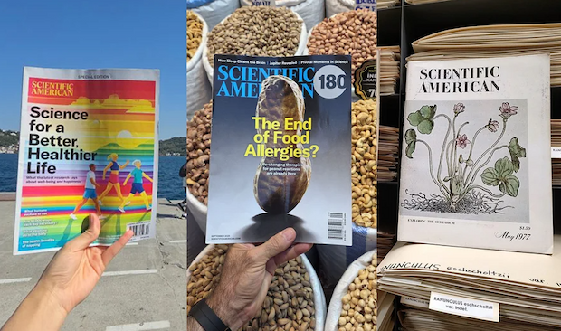 A side-by-side photo of three Scientific Americans covers that were entered into our contest.