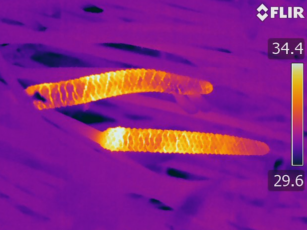 A thermal image showing two orange and yellow enlongated cones against a purple background