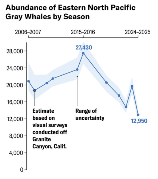 Line chart shows abundance of eastern North Pacific gray whales by season from 2006 to 2025.