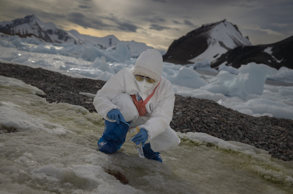 A person in a whilte protective suit, goggles, facemask and wearing blue gloves squats to take a sample in the rocky and snowy Antarctic landscape