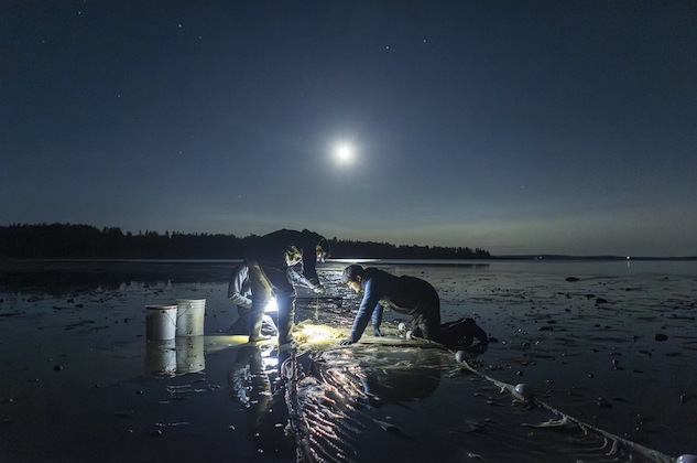 Three marine science students study samples in a net by flashlight on the beach near a shore under the moon.