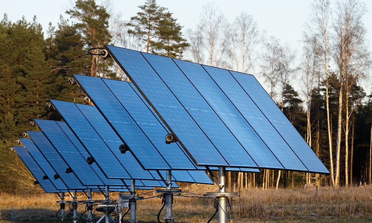 These Vertical Solar Panels Survive Storms by 'Swaying' Like Trees