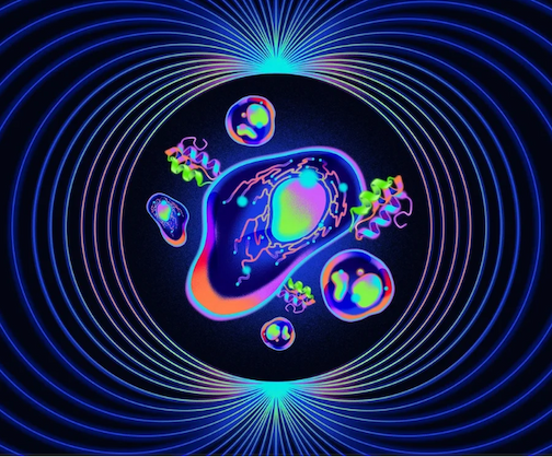 "An illustration showing glowing cells and glowing protein structures, surrounded by a geometric muti-coloured circular design. The curved lines form a tunnel, with the proteins and cells in the center.