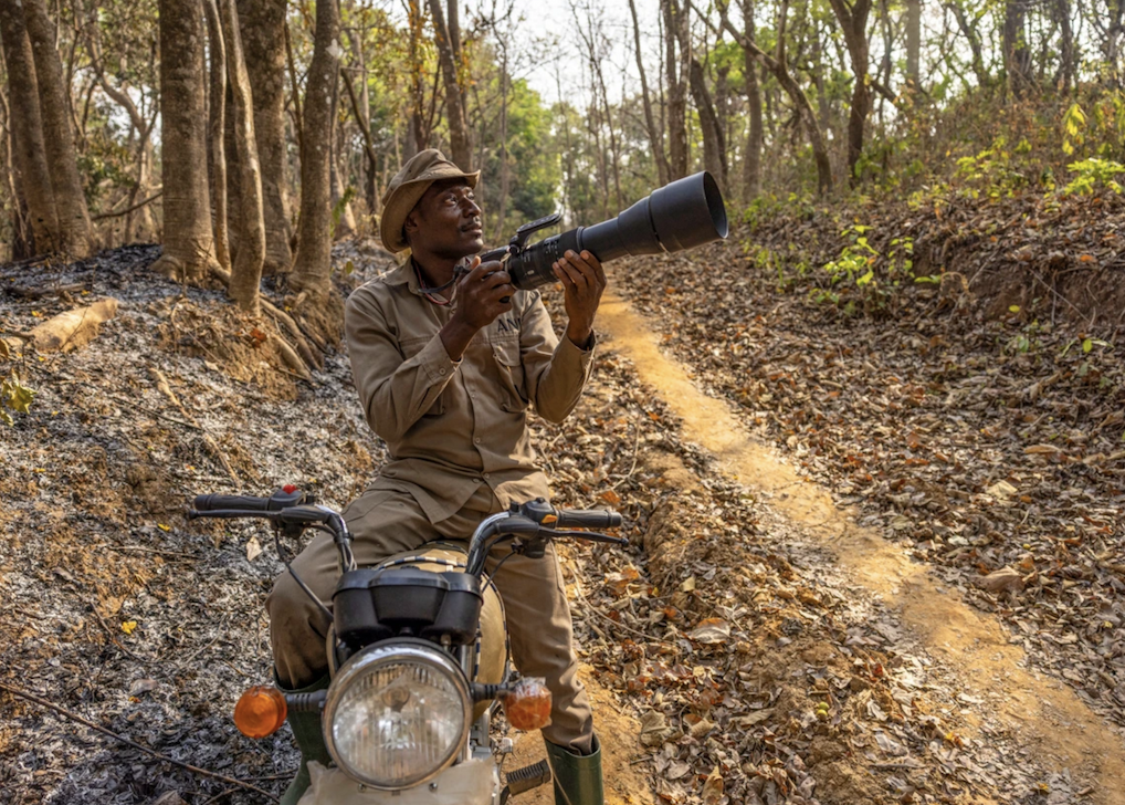 A man straddles a stationary motorcycle on a leaf-littered forest path while holding a camera with a large lens