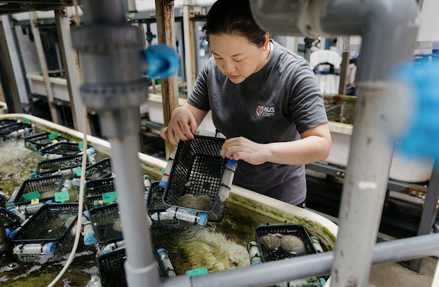 A woman examines a plastic mesh box amid pipes and lab equipment