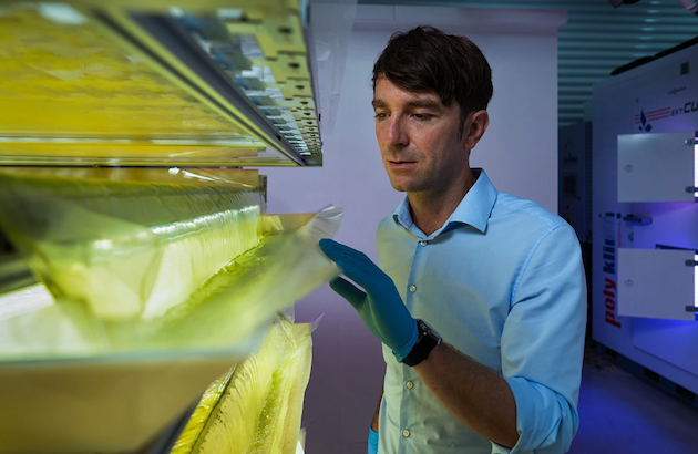 A gloved researcher peers into an illuminated tray in a dimly-lit laboratory.