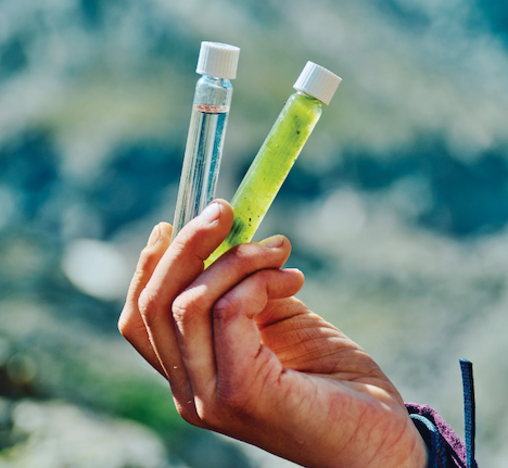 Close-up of a person's hand holding two water sample vials. The sample on the left is clear, the one on the right is cloudy green.