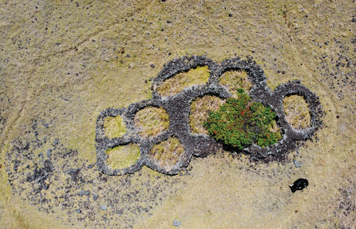 Aerial view of circular stone garden enclosures surrounding a shrub in a dry grassy landscape.