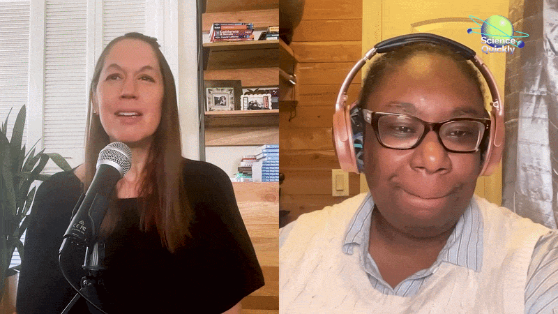A GIF of a splitscreen with Rachel Zoffness on the left speaking to podcast host Kendra Pierre-Louis on the right. The caption of Rachel's words are: Simply put, pain is our body's warning system.