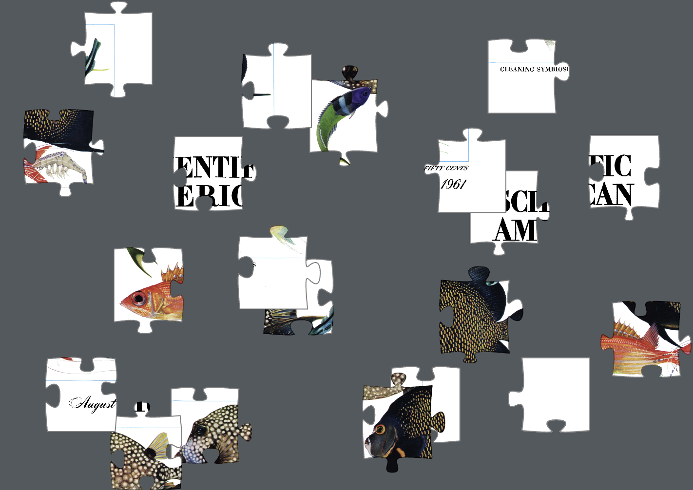 Beige, white and black puzzle pieces scattered on a gray background.