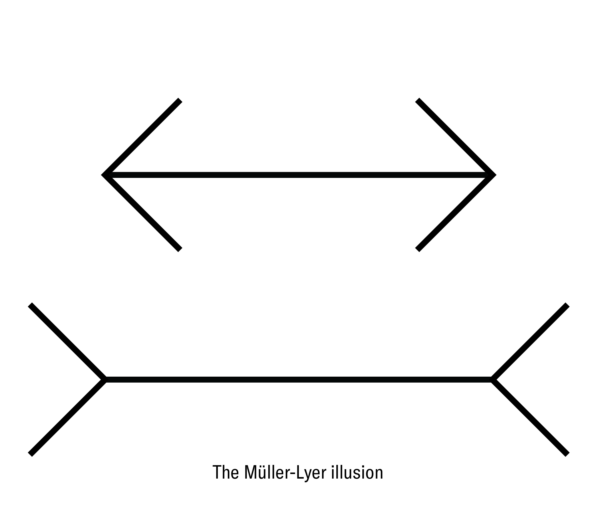 Graphic shows how the Müller-Lyer illusion makes two equal-length lines seem to have different lengths because of arrowlike tips pointing inward or outward.